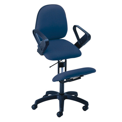 Y766.P53 - VERONICA CHAIR